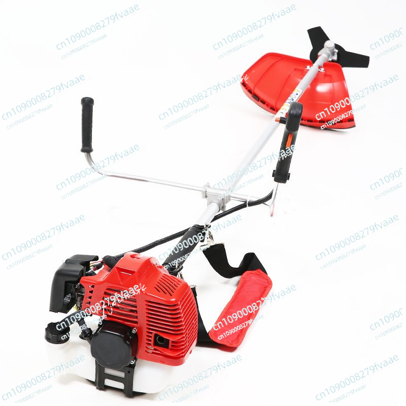 Gardening Tools Best - FS250 2 Zamanlı çim biçme makinesi