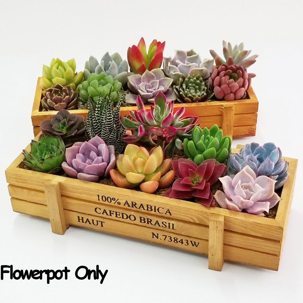 Gardening Tools Organiser - 1 adet araçları bahçe dekor Trough