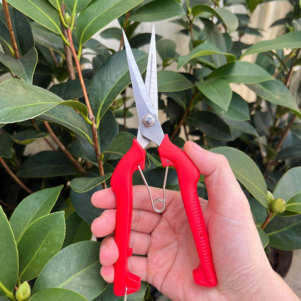Gardening Tools Combo - Pro Garden Budama Makası Uzatılmış Ağaç