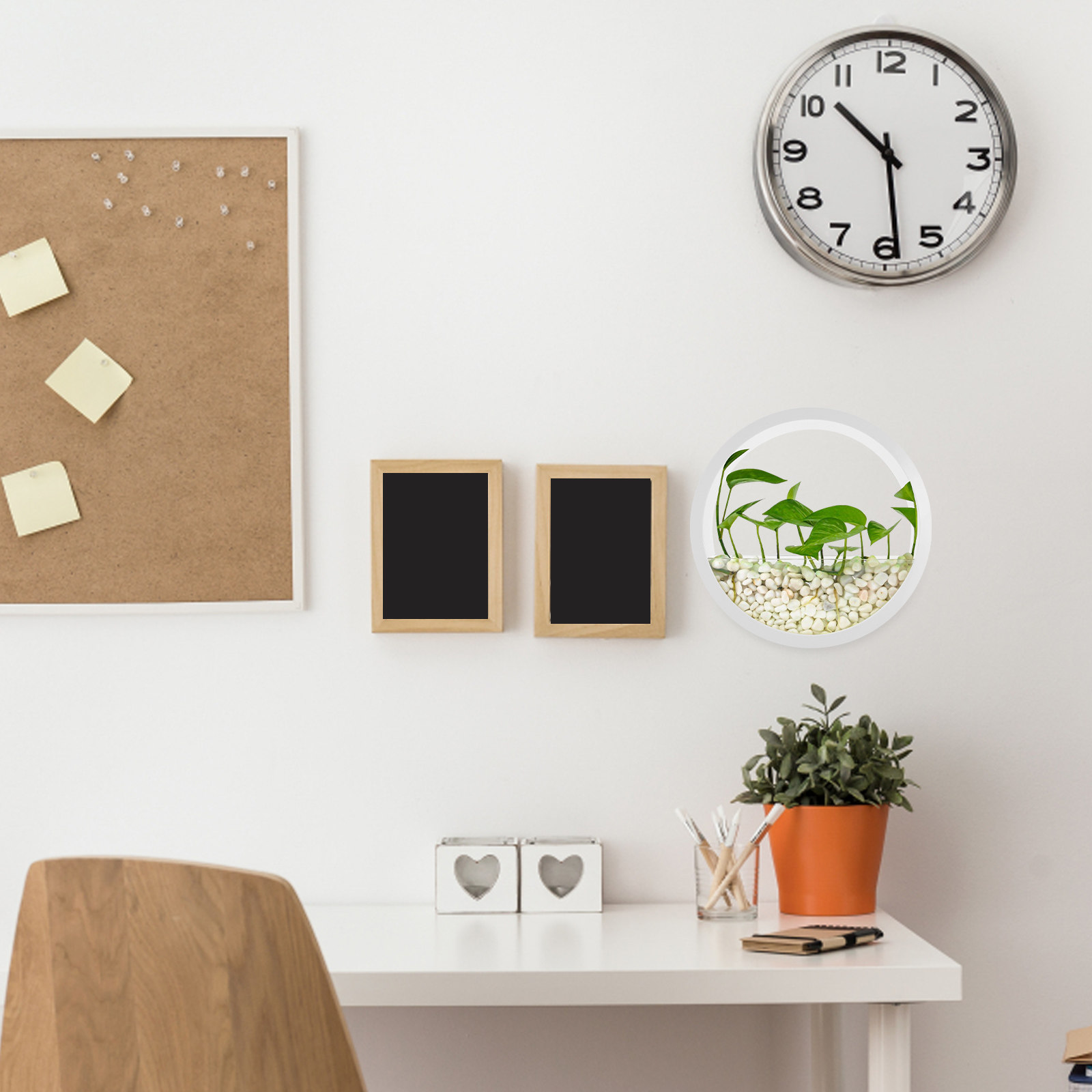 Duvara Monte Yuvarlak Şeffaf H - Vertical Wall Planter incelemesi ve fiyatı