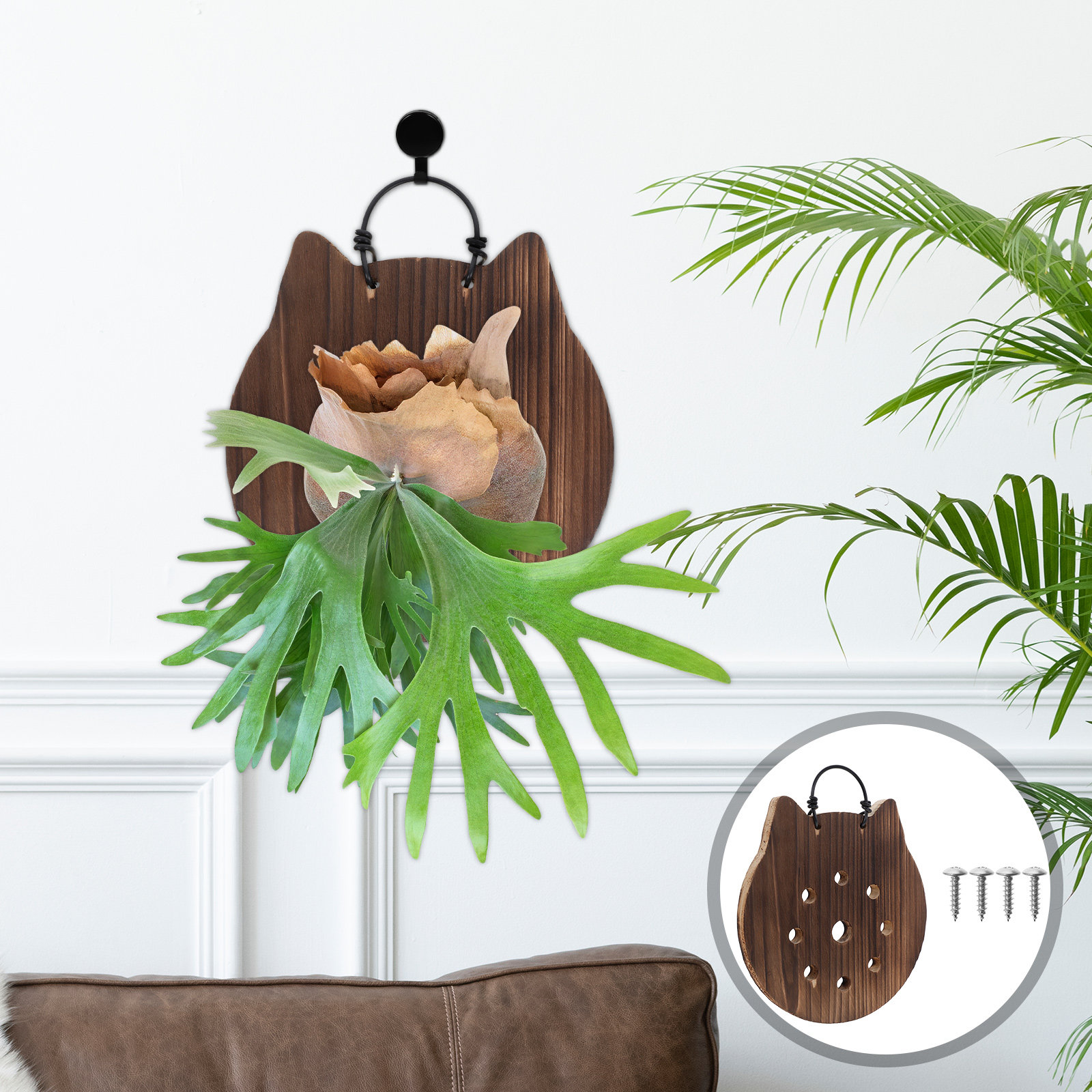 Kedi Şeklinde Eğreltiotu Monta - Vertical Wall Planter incelemesi ve fiyatı