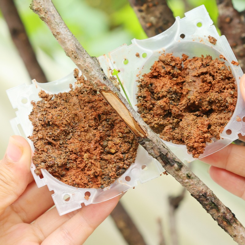 Yeniden Kullanılabilir Bitki K - Gardening Tools Organiser incelemesi ve fiyatı