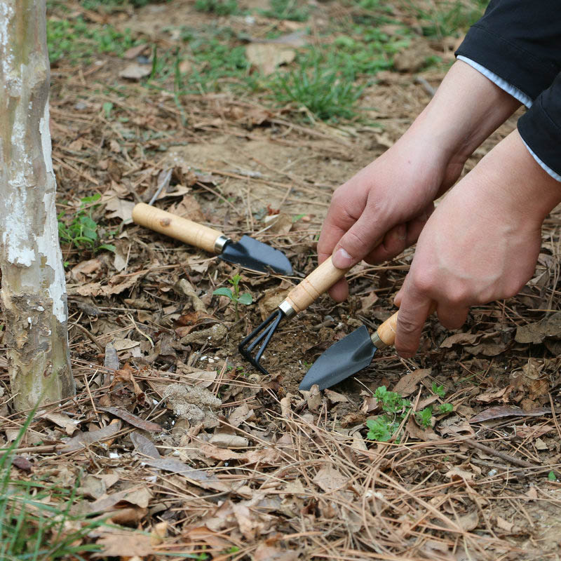 3 adet/takım Mini Bahçe Alet S - Gardening Tools For Digging incelemesi ve fiyatı
