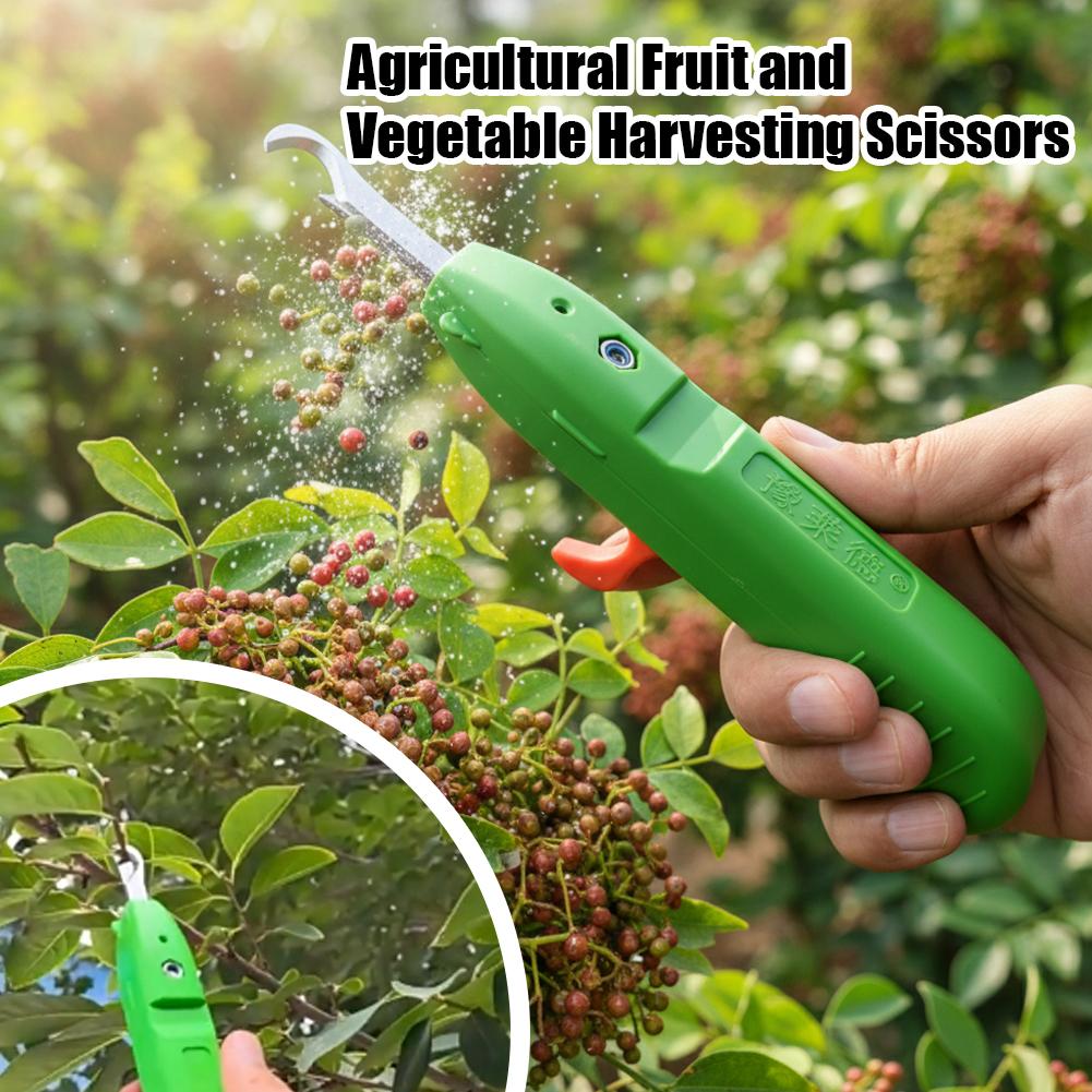 Meyve ve Sebze Toplama Makası  - Gardening Tools Combo incelemesi ve fiyatı