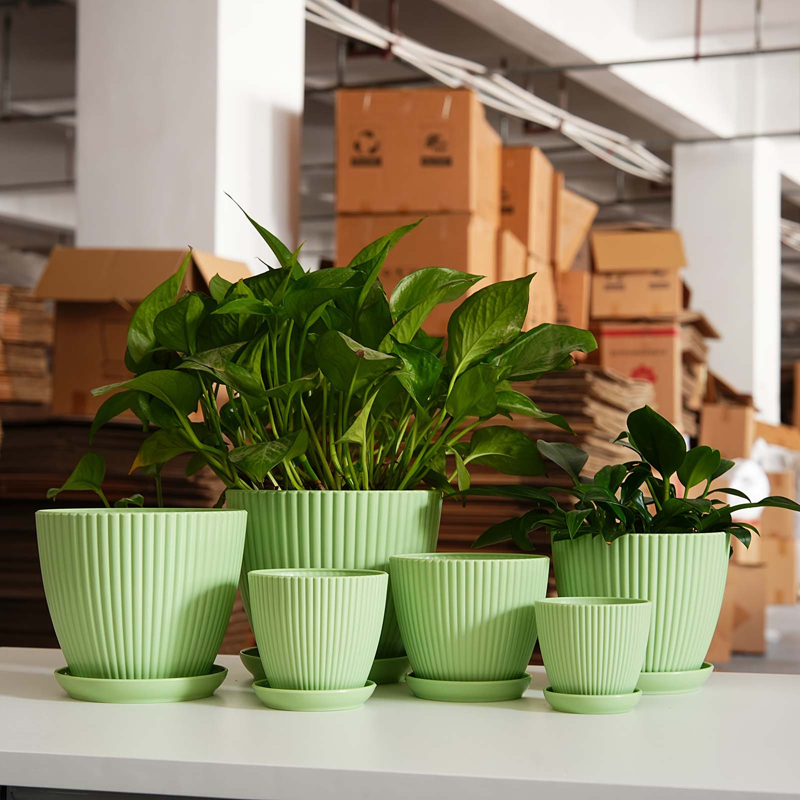 Dikey Çizgili Kalınlaştırılmış - Vertical Wall Planter incelemesi ve fiyatı