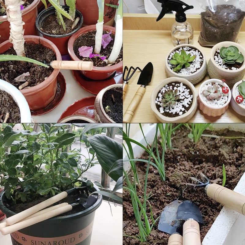 3 adet/1 takım Mini bahçe alet - Gardening Tools Combo incelemesi ve fiyatı