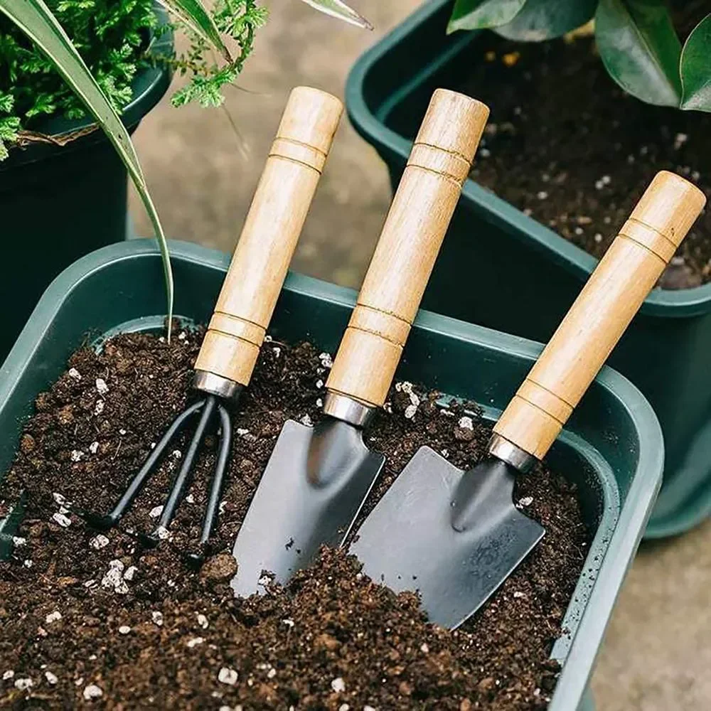 3 adet/takım Mini bahçe alet s - Gardening Tools Combo incelemesi ve fiyatı