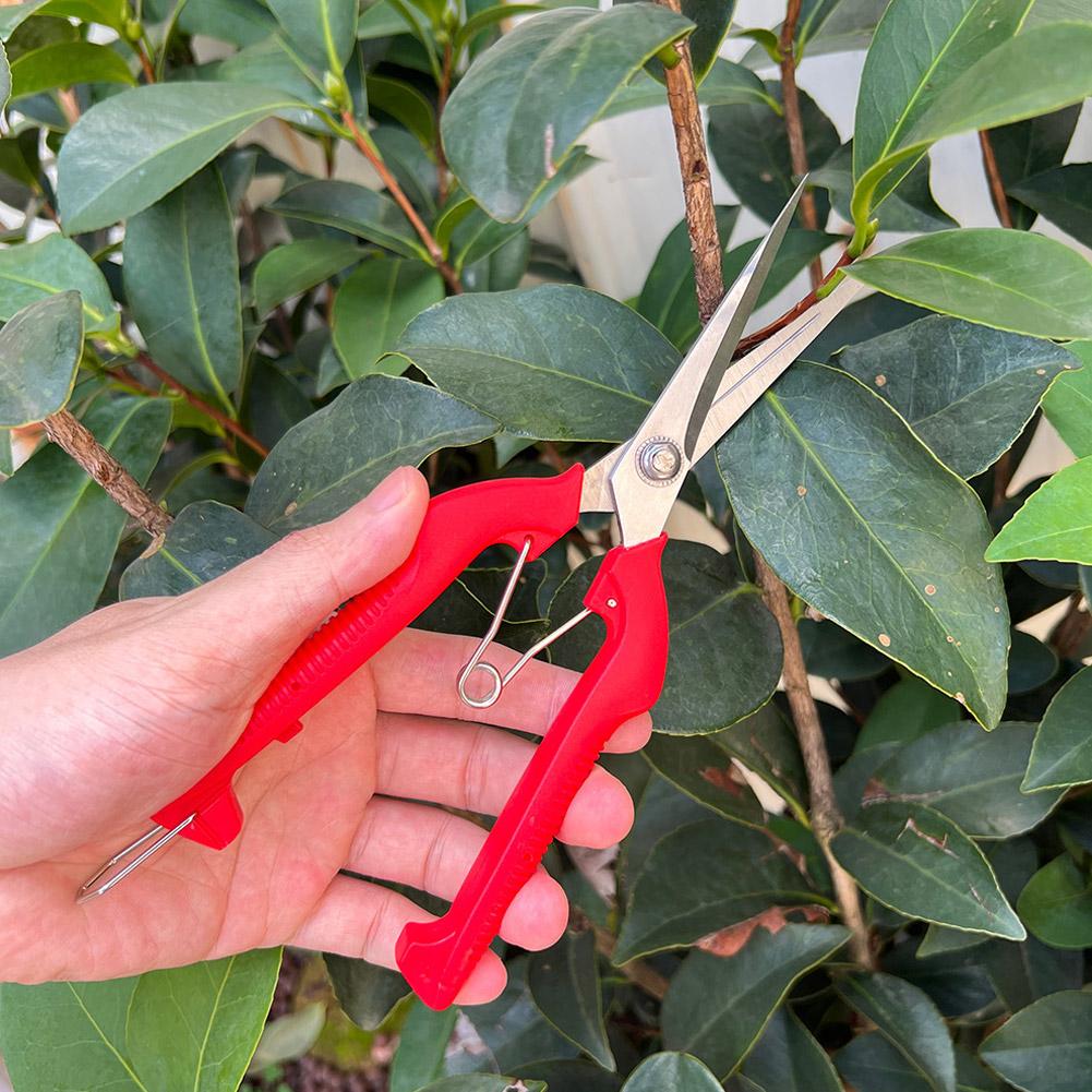 Pro Garden Budama Makası Uzatı - Gardening Tools Combo incelemesi ve fiyatı
