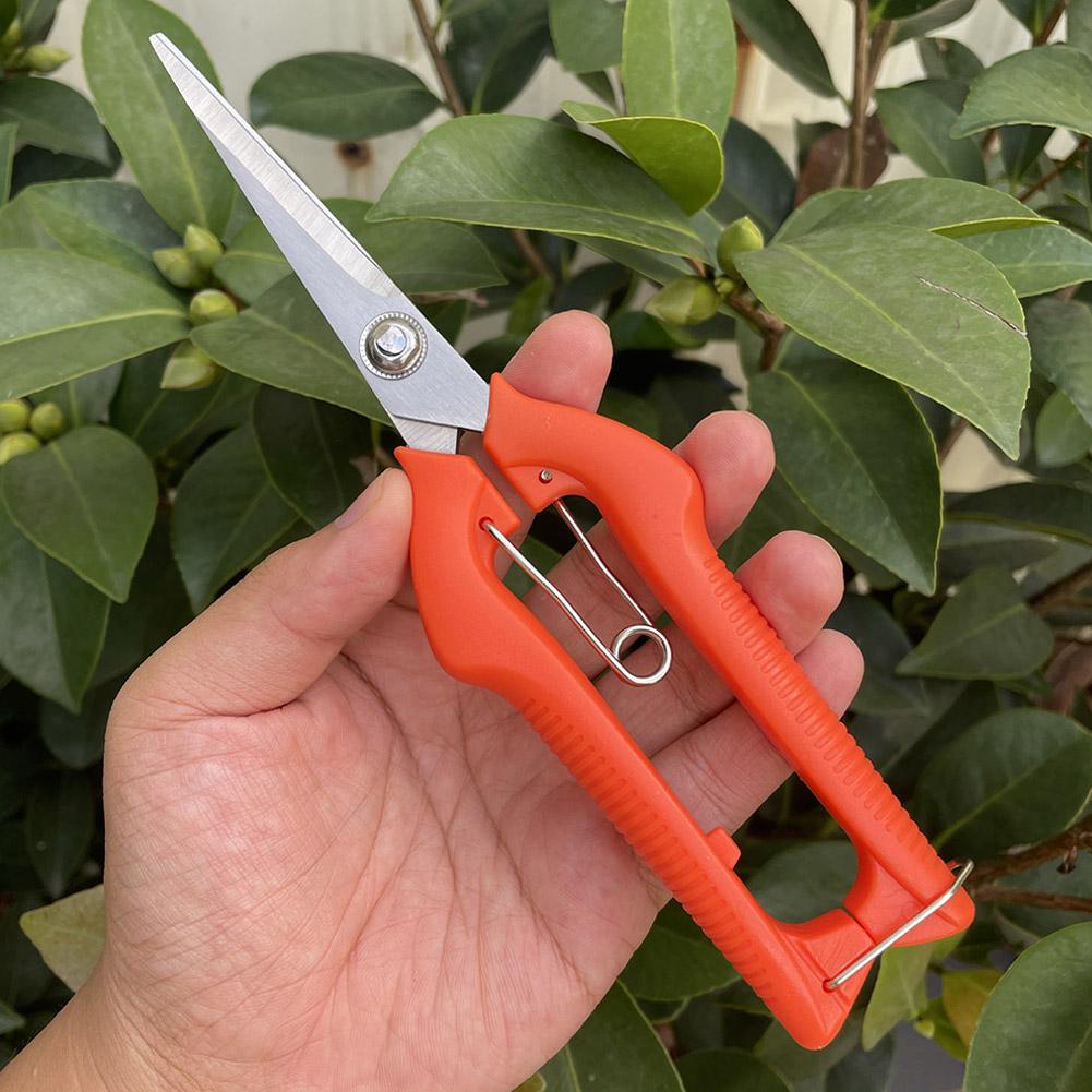 Pro Garden Budama Makası Uzatı - Gardening Tools Combo incelemesi ve fiyatı