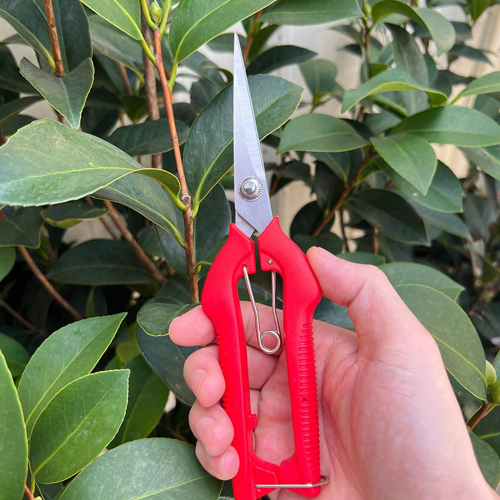 Pro Garden Budama Makası Uzatı - Gardening Tools Combo incelemesi ve fiyatı