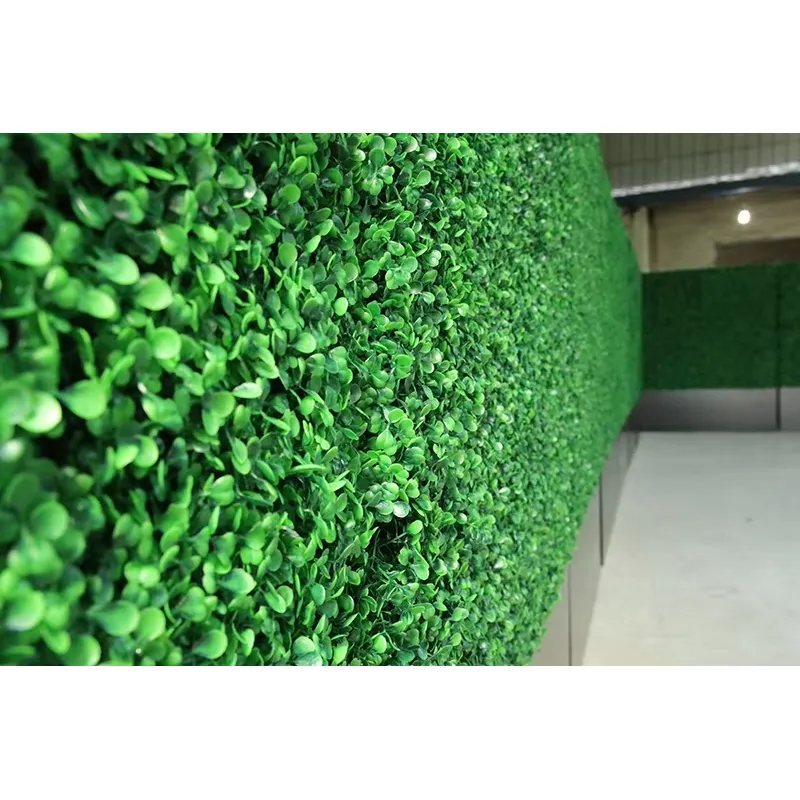 CQ-001 El Yapımı Çevre Dostu D - Vertical Wall Planter incelemesi ve fiyatı