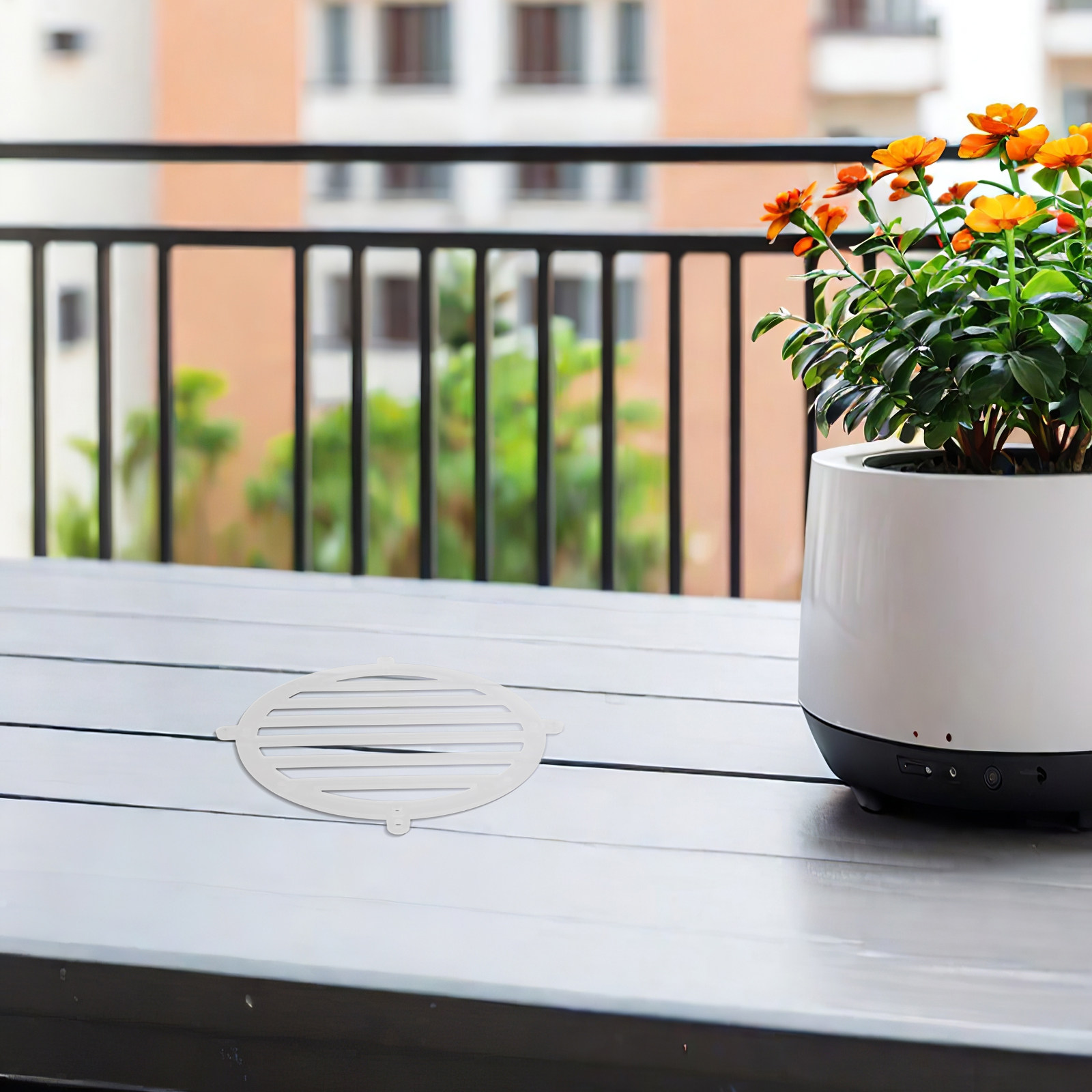 2 Adet Platycerium Fern Montaj - Vertical Wall Planter incelemesi ve fiyatı